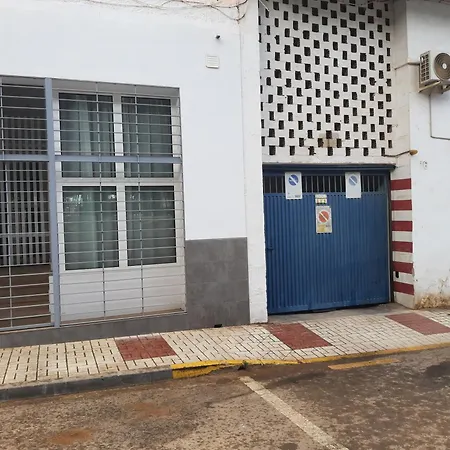 Argentea 18 *